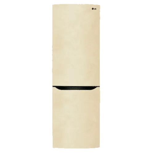 холодильник LG GA-B419SECL